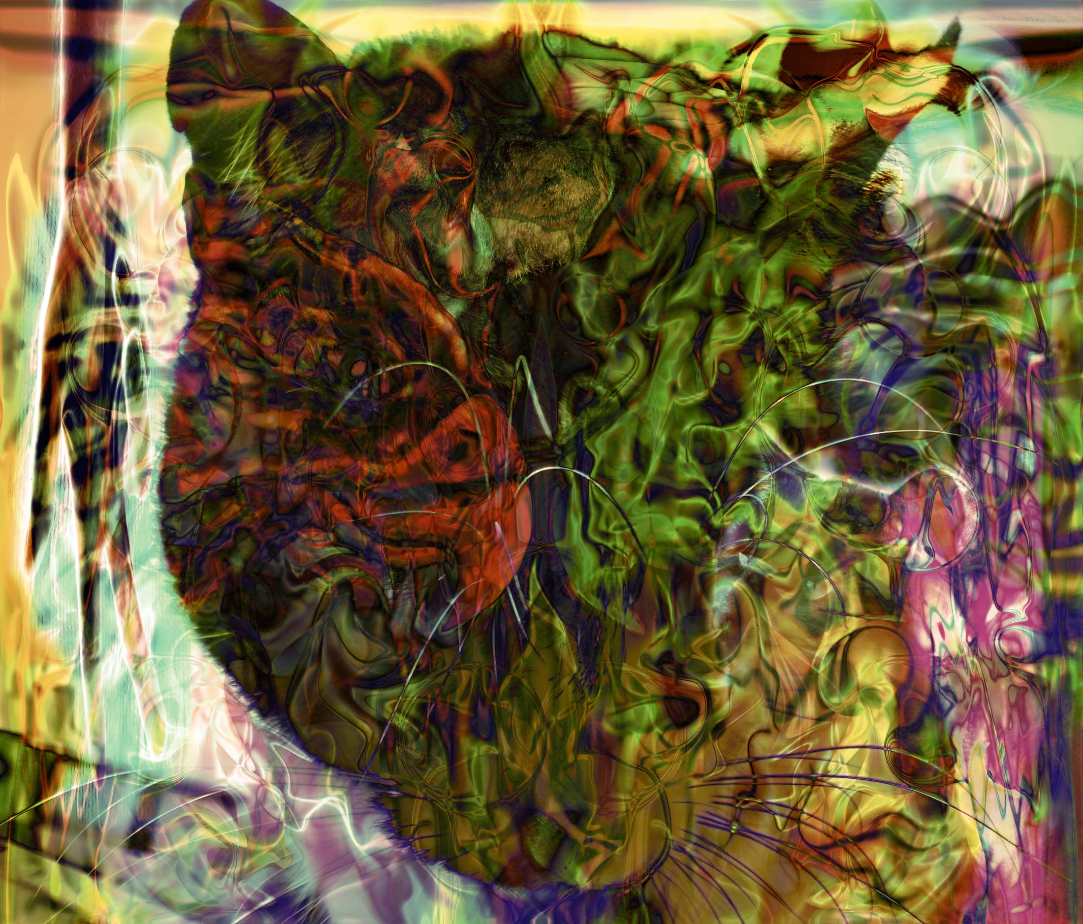 Vivid dream