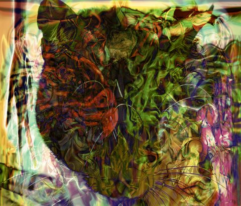 Vivid dream